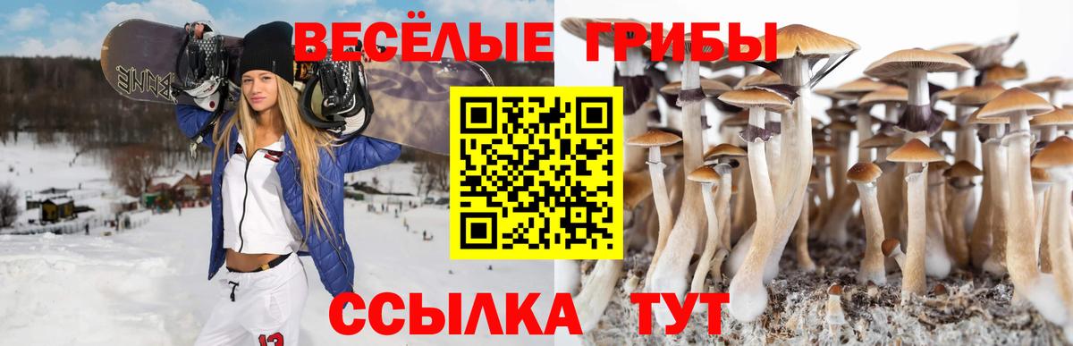 Галлюциногенные грибы мицелий  Вход с VPN  Волжск 