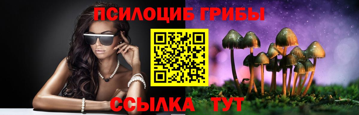 Галлюциногенные грибы Cubensis Волжск